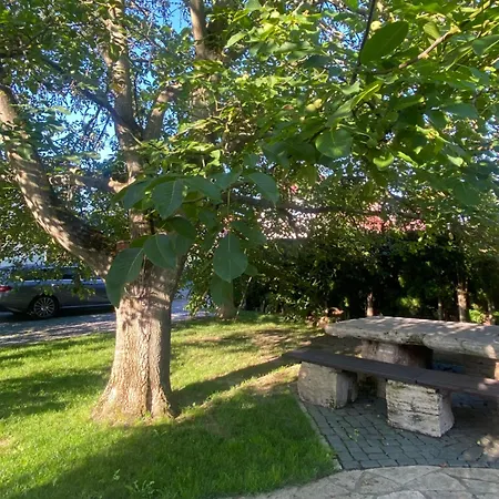 Apartment Zum Nussbaum *