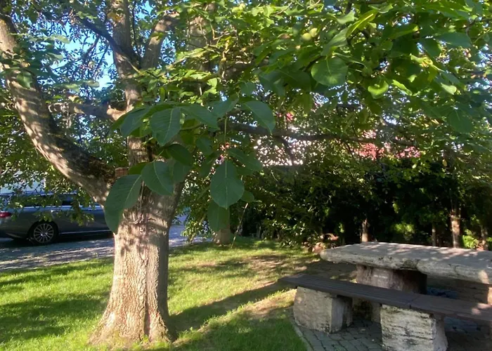 Appartement Zum Nussbaum *